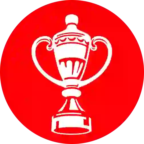 Кубок России